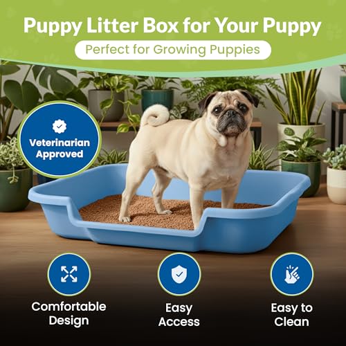 Large Dog Indoor Litter Box Up to 20 Lbs, Little Boy Blue | Durable & Pet Safe Puppy Litter Box, Indoor Open Top Entry Dog Litter Pan, Comfortable & Great for Dogs, Made in USA - Image 3