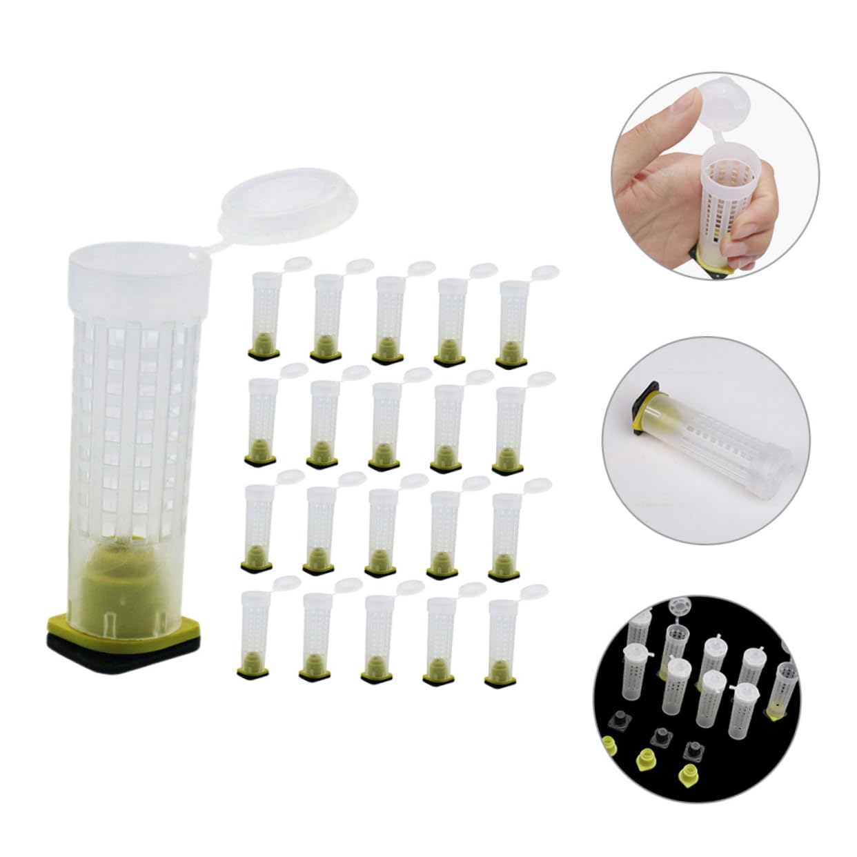 Garneck 4 Set Copertura Per Allevamento Api Protezione Bee Cage Con Design Ventilato Attrezzatura Per Apicoltura E Facile Da Utilizzare Per Apicoltori E Allevamento Delle Api 40 Pezzi * 4