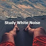 Study Time Music