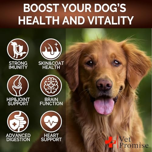 Image of Dog Mushroom Supplement with Reishi, Turkey Tail & Lion's Mane - Helps with Immunity, Digestion & Energy - Natural Ingredients - USA Made