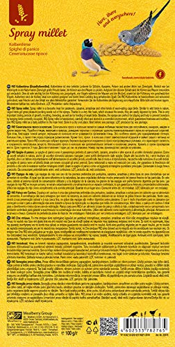 RIO Kolfgierst. Natuurlijke lekkernijen voor alle vogels, 100 g - Afbeelding 4