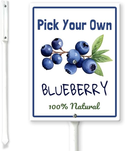 Rust Blueberry Sign Amazon.com : Lucidhisun Pick Your Own Blueberry Yard Sign with Stakes ...