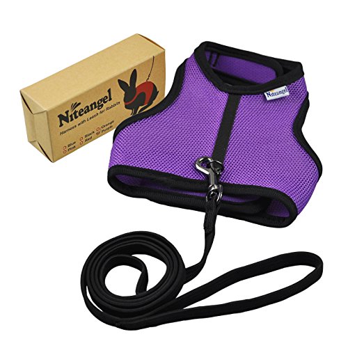 Image of Niteangel Adjustable Soft Harness with Elastic Leash for Rabbits (L, Purple)