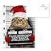 Purrpetrator Santa Cats Holiday Card Assortment Pack / 24 Christmas Cats Greeting Cards and Envelopes / 3 Bad Santa Kitten Designs With Message Inside