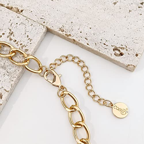 Coiris Statement Chunky Acrylic Chain Link Choker Necklace Fashion Women Collar Necklaces Acrylic Resin Chain Necklace(N0097-Texture Dark Red) #TOP5