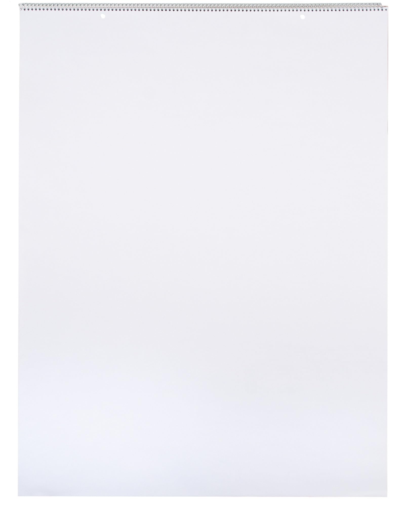 スクール スマート チャート タブレット、24 x 32インチ、罫線なし、25枚 24 x 32 Inches