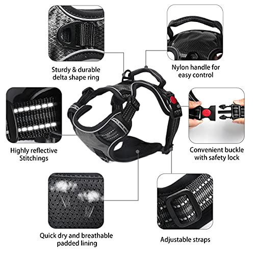 SYEENIFY No Pull Dog Harness, Adjustable Soft Padded Dog Vest, Medium Large Dog Harness with 5FT Dog Leash,Reflective No… - Image 2