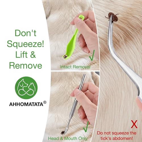 AHHOMATATA 10-in-1 Tick Remover Kit
