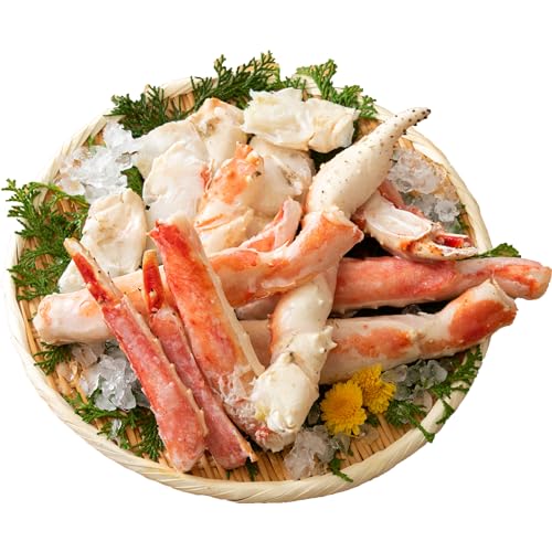 H̒BlXX ɑJbgς݃{CΊI 800 prmr[hJbg Mtg Ă  ^o BBQ O