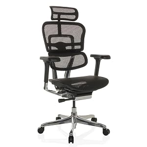 hjh OFFICE Ergohuman Gen2 Netz