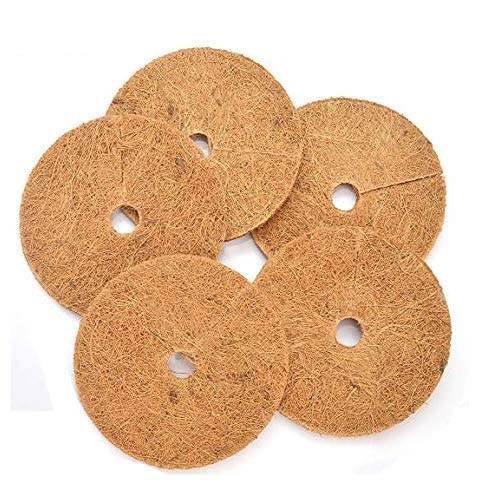 See full amazon price history chart for KURUPPATH GROUP Coco Fiber Mulch Mat - 8 Inch Coconut Coir Fibre Moisture & Weed Control Mulch Mats for Growing Plants (Pack of 5 Pcs) KURUPPATH GROUP Coco Fiber Mulch Mat - 8 Inch Coconut Coir Fibre Moisture & Weed Control Mulch Mats for Growing Plants (Pack of 5 Pcs) (B09R3ZVRJG) Amazon Price History, Amazon Price Tracker