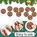 Onlvmyur Bastones de Caramelo Navidad Decoración 16 Piezas Bastones de Caramelo Adorno Decoraciones de Árboles de Navidad per Feste Natalizie Casa Imagen de Onlvmyur Bastones de Caramelo Navidad Decoración 16 Piezas Bastones de Caramelo Adorno Decoraciones de Árboles de Navidad per Feste Natalizie Casa