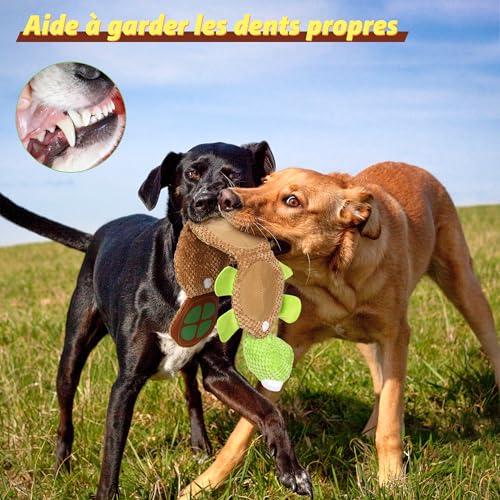 IOKHEIRA Interaktives Hundespielzeug Quietschend - Futtersuche Instinkt Training, Intelligenz Stressabbau Langeweile - Für Große, Mittlere und Kleine Hunde
