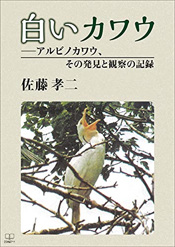 白いカワウ：アルビノカワウ、その発見と観察の記録（２２世紀アート）のサムネイル