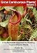 Grow Carnivorous Plants! Volume 3: A No-Nonsense Approach to Growing Tropical Pitcher Plants