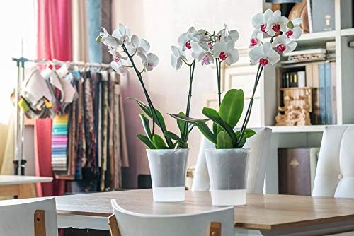 Miniatura 4 de Gardenera ARTE-DEA - Maceta de riego automático transparente de 5.8 pulgadas, maceta de interior para todas las plantas de casa, flores y orquídeas