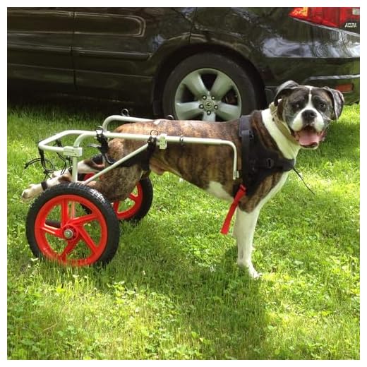Best Friend Mobility Large Dog Wheelchair