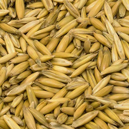 Leimüller Bio Hafer ganz 20 kg | Natürlicher Pferdehafer aus Österreich für Pferde, Ponys, Vögel & Sittiche | Futter für mehr Lebensfreude & Motivation | Bio-Gütesiegel & Frei von Gentechnik