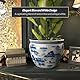 Red Lantern Oriental Furniture Fischglas, Porzellan, 45,7 cm, Blau/Weiß