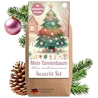 Little Plants Weihnachtsbaum Anzuchtset - Christbaum, Adventskalender Füllung, Wichtelgeschenk, Weihnachtsbaum in der Dose, Adventskalender befüllen Inhalt, Tannenbaum Geschenk Set (Variante 1)