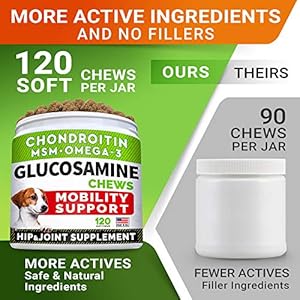 Glucosamine Treats for Dogs - Joint Supplement w/Omega-3 Fish Oil - Chondroitin, MSM - Advanced Mobility Chews - Joint Pain Relief - Hip & Joint Care - Chicken Flavor - 120 Ct - Made in USA Glucosamine Treats for Dogs Joint Supplement wOmega 3 Fish Oil Chondroitin MSM Advanced Mobility Chews Joint Pain Relief Hip Joint Care Chicken Flavor 120 Ct Made in USA