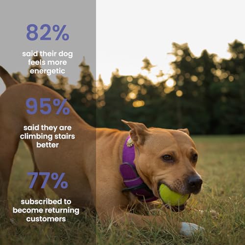 Image of Absolut Pet Hip and Joint-Supplements for Dogs Chews that Improve Mobility & Bone Strength with Glucosamine, Chondroitin & Collagen (90 Chews)