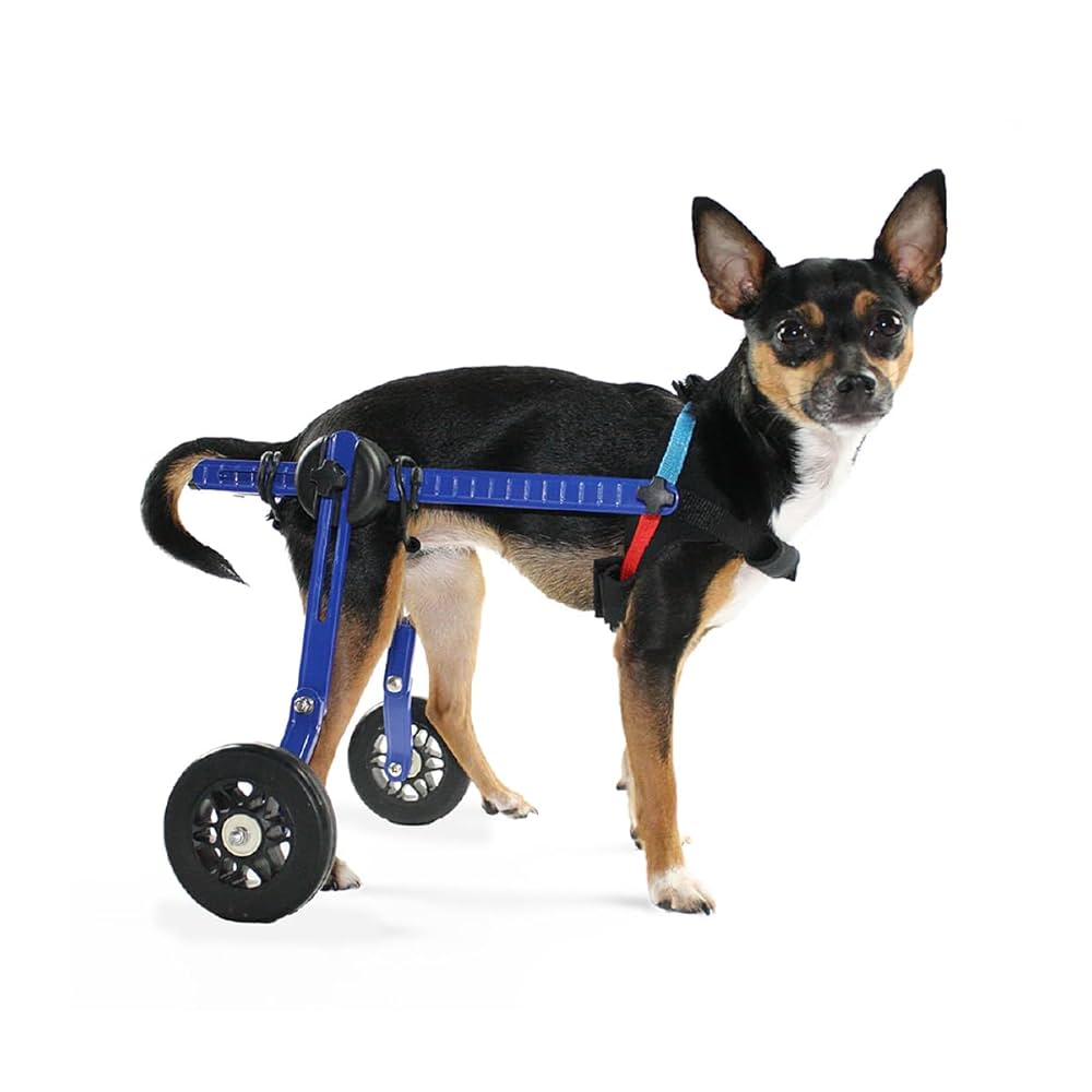 Walkin' Wheels 折りたたみ式犬用車いす 51OWaiTPUIL._UF1000,1000_QL80_.jpg