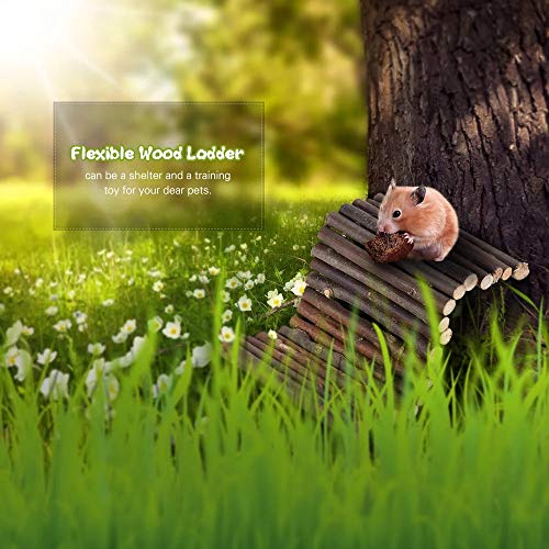 Hamiledyi Hamster Bridge Rat Ladder Wooden Bridge Toy For Small Animals Cage Wood Ladder Natural Hideout For Guinea Pig Chinchilla Ferret Reptile (Pack Of 2) (2Ladder) #TOP4