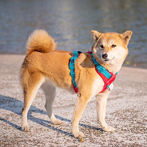 Phoepet No Pull Dog Harness, Unique Colors Reflective Adjustable Dog Vest, With Soft Training Handle Metal Clips For Small Medium Large Dogs (Red Base & Teal Straps,M) #TOP2