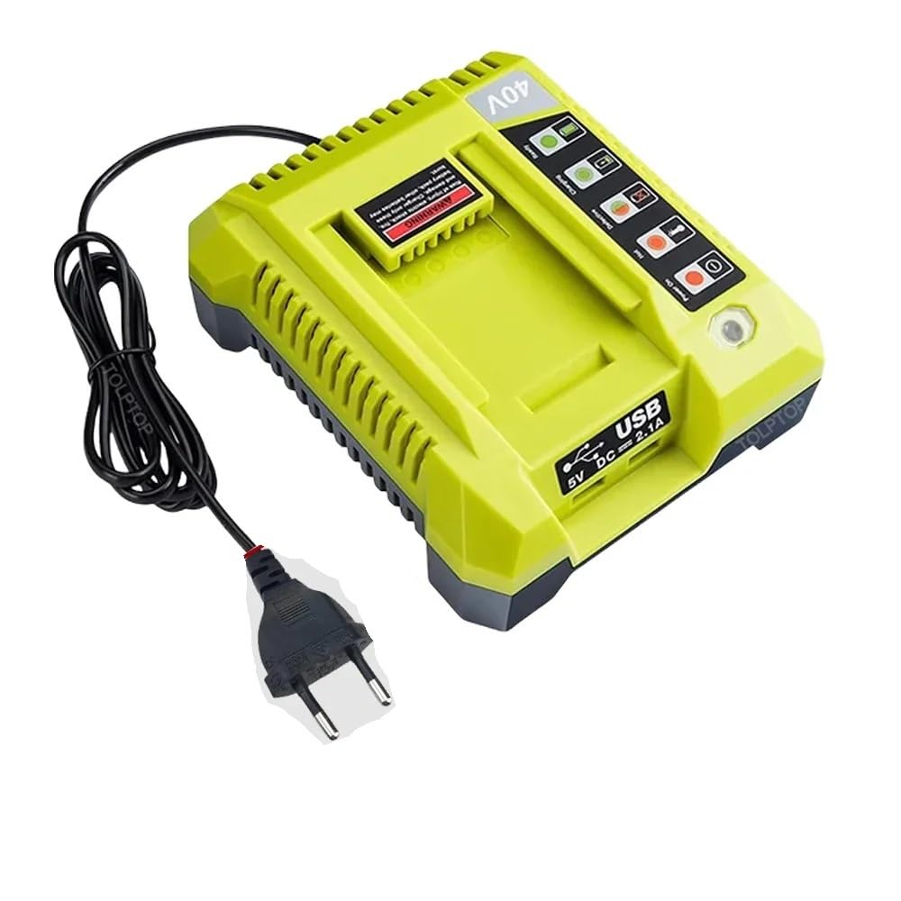 Batteria agli ioni di litio ad alta capacità da 40 V 10 Ah, compatibile con Ryobi,(1pcs Charger)