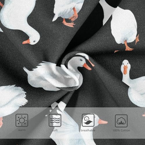 Little Boys Briefs Cute Duck Soft Cotton Toddler Underwear in Sizes 2/3t, 4t, 5t, 6 and 83