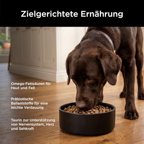 Go! Solutions Hundetrockenfutter Lachs, getreidefrei Sensitivities, 10 kg – Ansicht 5