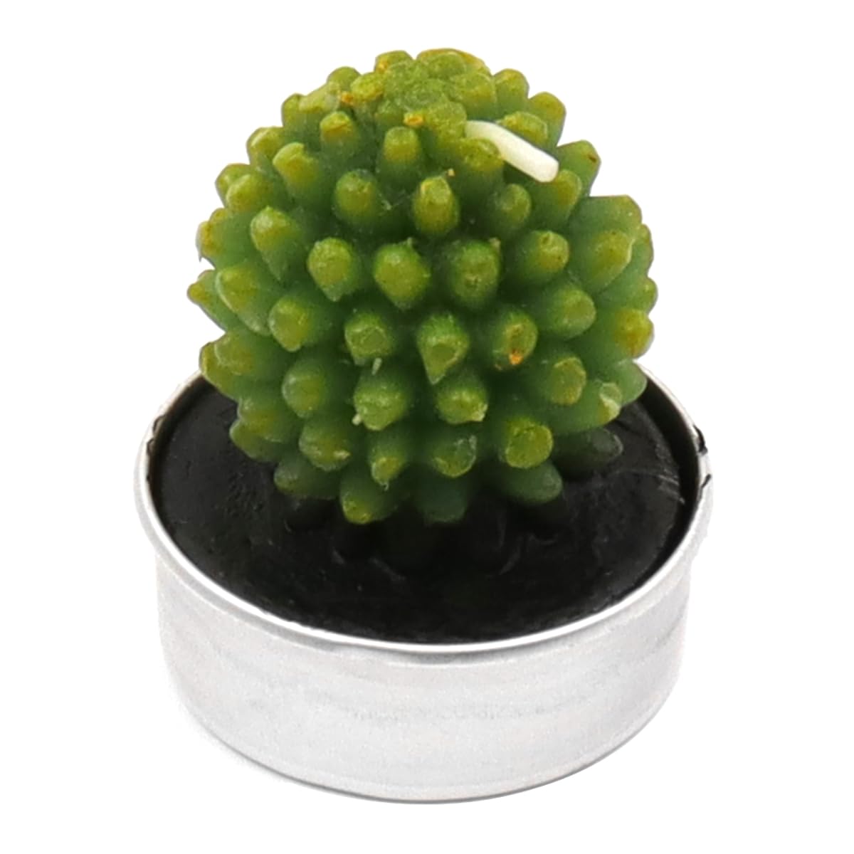 6 Velas de Cactus y Suculentas, Recuerdos de Fiesta para Invitados y Despedida de Soltera, Regalo de Inauguración