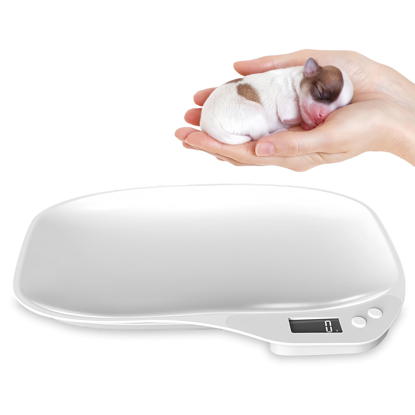 Balance numérique pour petits animaux WIYETY, balance de compagnie avec écran LCD et 4 modes de pesée kg/oz/lb/ml