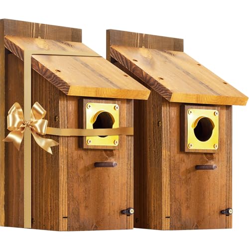 2pk Large Bluebird House for Outdoor - Extra High Size, with Perch, Mesh Base & Brass Guard - Cedar Birdhouse for Bluebirds, Finches, Swallows Carbonized Finished 5 Years Usage, Assembling Needed