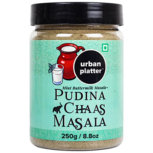 Pudina Chaas Masala 250G / 8.8Oz [Mint Buttermilk Masala] Cover