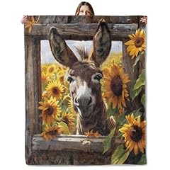 Donkey and Sunflower