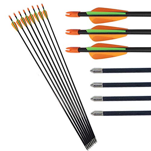 SHARROW 29C`qpKX@ۖ A[`F[  OXt@Co[ |  q̃^[QbgK 12E24Zbg (IW, 12)