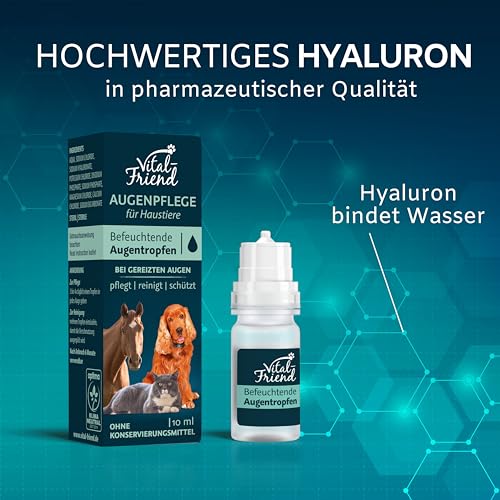 Vital-Friend Augentropfen für Hunde, Katzen und Pferde 10 ml, Augenpflege & Befeuchtung bei Entzündungen, Augenreiniger, Unterstützende Pflege bei Bindehautentzündung, konservierungsmittelfrei