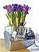 Galvanized Metal Hanging Wall Pocket Planter - 8.5