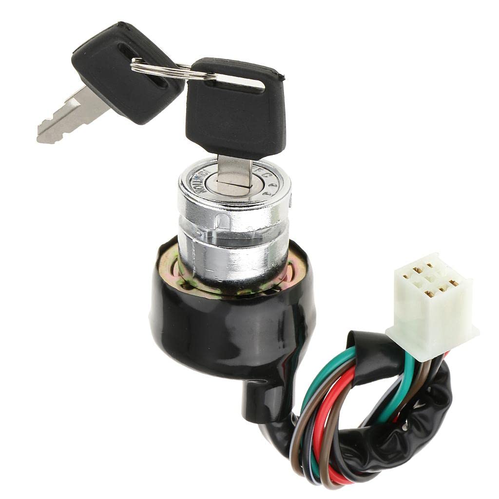 LOOM TREE® Ignition Switch 6 Wire 3 Position For Motorcycle Scooter Quad Bike Go-Kart | 1 Set Ignition Switch With Keys