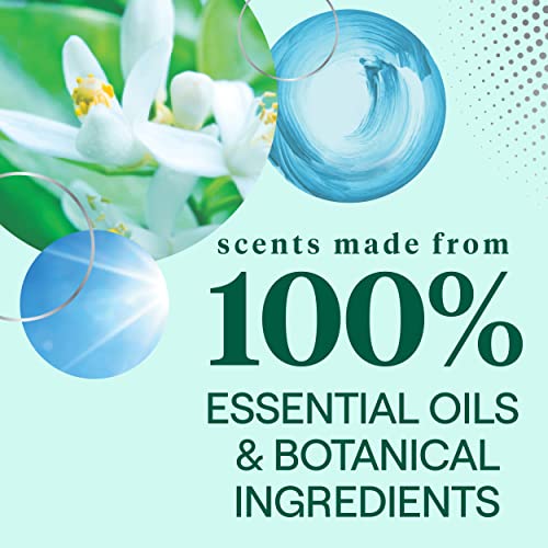 image for Seventh Generation Glass Cleaner, Biodegradable Formula, Sparkling Sea