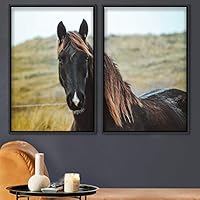 2 Piece Framed Canvas Wall Art Horse Looking into Camera Canvas Prints Home Artwork Decoration for Living Room,Bedroom - 16