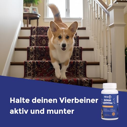 Gelenktabletten für den Hund (180 Stück) – zur Gelenkunterstützung mit Chondroitin & Kollagen – halten sie ihren Hund gesund & beweglich – Hundeleckerli mit Milchcalcium