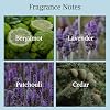 UNTAMED para Hombre Inspirado en Sauvage, Colonia Fresca Aromática Especiada, 3.4 oz | Notas de bergamota, pimienta, lavanda, ambroxan, cedro. Aroma fresco amaderado para uso diario. EDP de larga duración. 100ml 3.4 Fl Oz (Paquete de 1) 6