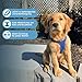 Voyager Step-In Air Hundegeschirr by Best Pet Supplies - All Weather Mesh Step in Vest Harness für kleine und mittlere Hunde, Königsblau, size L - Brust 45-52 cm