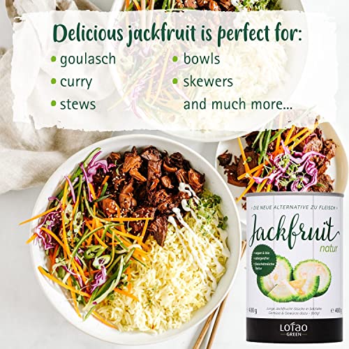 Lotao Organic Jackfruit Canned In Water (6X 14 Oz), No-Meat Vegan Chicken | Fresh Young Jack Fruits Canned - Natural Plant-Based Vegan Meat | Vegetarian Vegan Food Like Meat Substitute For Tofu Tempeh #TOP4