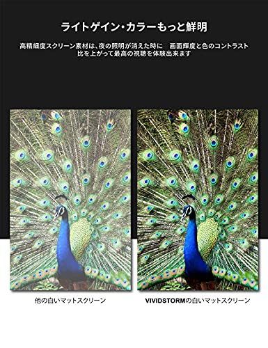 スクリーン 長焦点プロジェクター 100インチ 天吊り式 ホームシアター VIVIDSTORM 4K 8K 3D UHD 電動ドロップダウ テンション スクリーン 16:9 視野角160 投射 シネマ 投影用 会議 教室 屋内 映画 ムービーシアター シワなし ホワイト材質 ブラックウスイングーVBMSLW100H