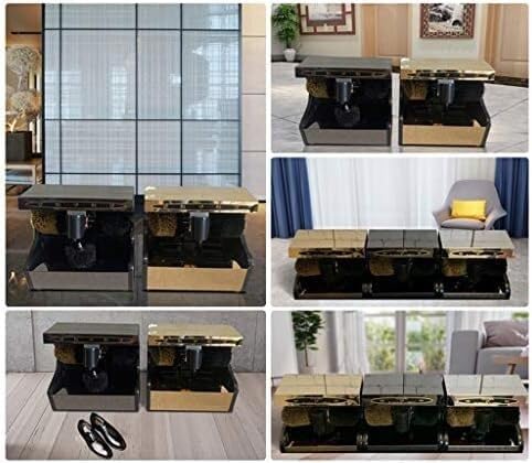 Shoe Polisher Fully Automatic, Electric Shoe Polisher, Stainless Steel Automatic Induction Shoe Polisher for Dust Removal and Polil Automatic Induction Shoe Polisher for Dust