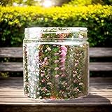 Zoom IMG-2 polvere di albero in miniatura Zoom IMG-2 polvere di albero in miniatura